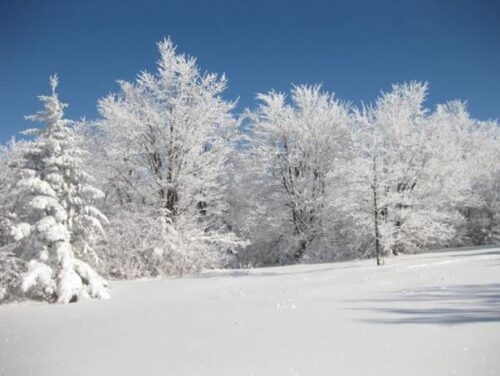 New Year's Trip to Boonville, NY, Tug Hill Plateau