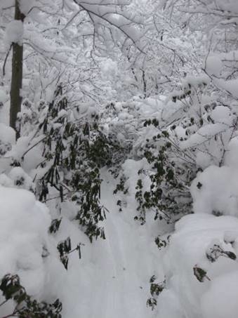 New Year's Trip to Boonville, NY, Tug Hill Plateau