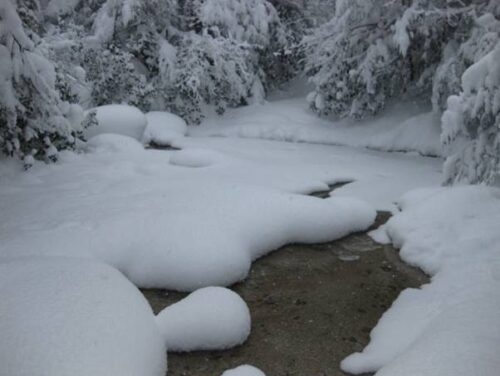 New Year's Trip to Boonville, NY, Tug Hill Plateau