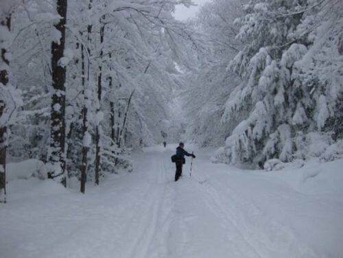 New Year's Trip to Boonville, NY, Tug Hill Plateau