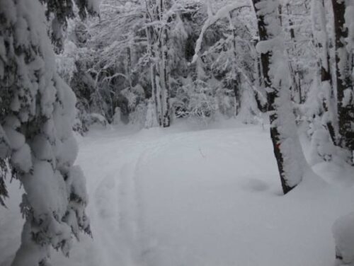 New Year's Trip to Boonville, NY, Tug Hill Plateau