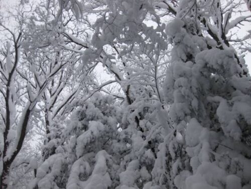 New Year's Trip to Boonville, NY, Tug Hill Plateau