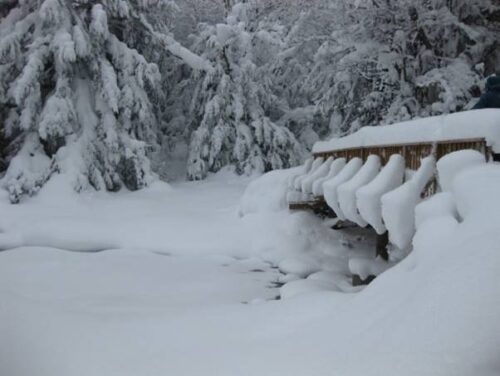 New Year's Trip to Boonville, NY, Tug Hill Plateau