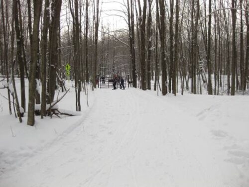 New Year's Trip to Boonville, NY, Tug Hill Plateau