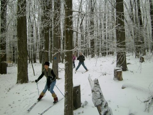 Icy downhill at Herrington Manor SP, MD