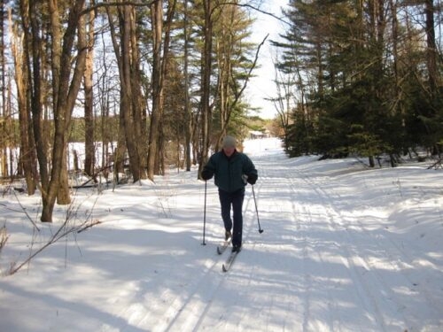 Harvey scouting out the Herrington manor trails