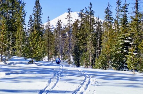 Trails at Ray Benson Sno Park