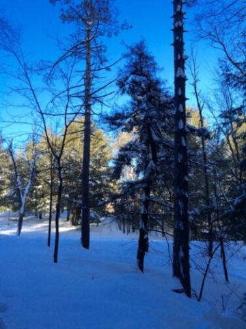 The calm after the storm