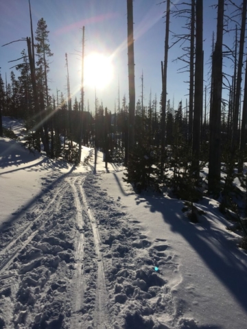 Trails at Ray Benson Sno Park