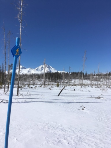 Three Creeks Lake Trail photo by Al Larsen