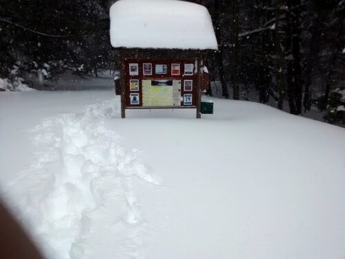 Lots of Snow at New Germany SP