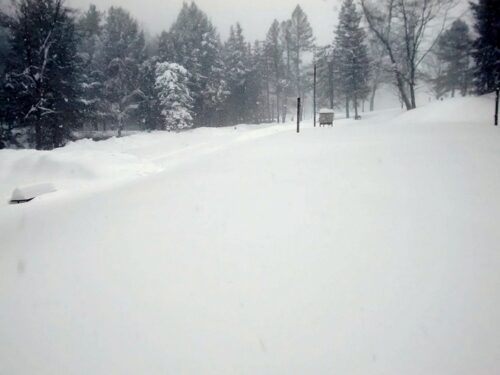 Parking Lot #5 looking toward the lake