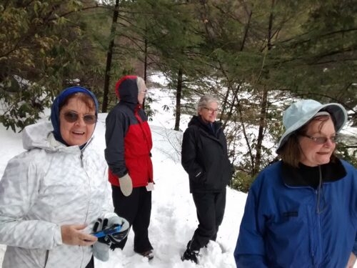 Touristas at Swallow Falls