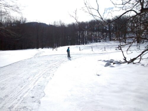 Beth at Gandalf's Glade