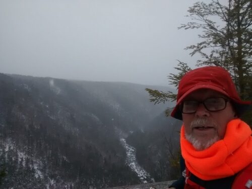 Being strangled by the rare orange anaconda