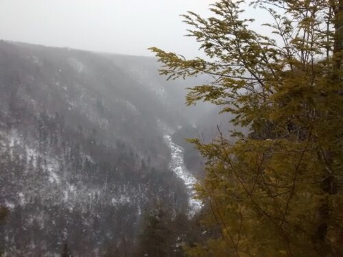 Looong way down; Blackwater Canyon