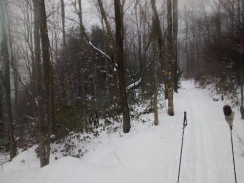 Trail to Pase Overlook, North Rim of BW Canyon