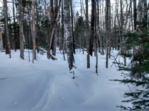 On the trail at Sugar Loaf Outdoor Center