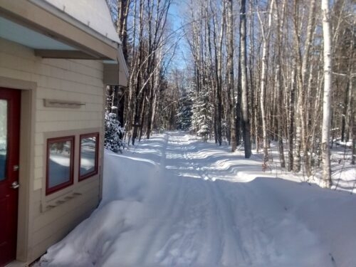 Trail from Poplar Hut
