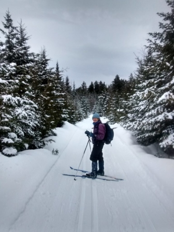 This section was like a Christmas tree farm