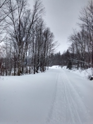 Trail through open areas