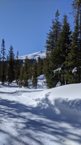 Groomed trails at Mt. Bachelor Nordic Area