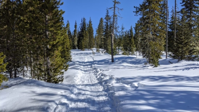 Trails at Ray Benson