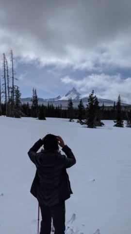 Picturing Mt Washington