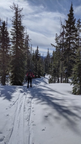 Plenty of up and down