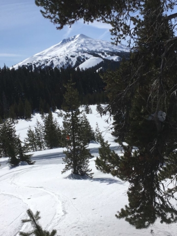 Mt. Bachelor from Todd Ridge photo by Al Larsen