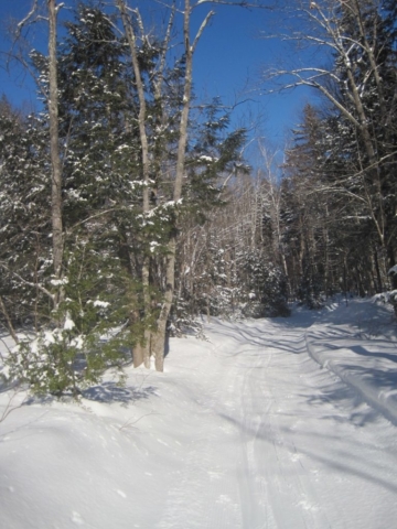Trail to Flagstaff Hut