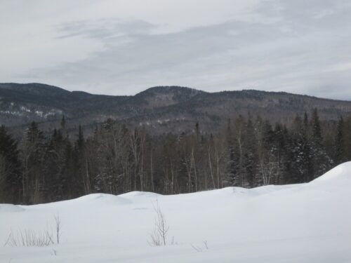 Backside of Bigelow Mountain from Flagstaff Hut trail