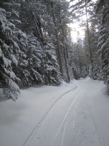 Snowmobile grooming on the trail to Flagstaff Hut