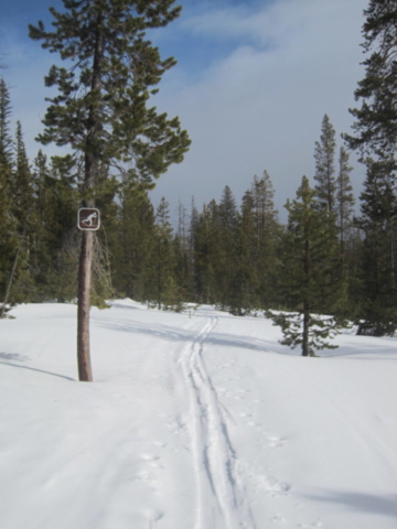 Trails at Ray Benson Sno Park