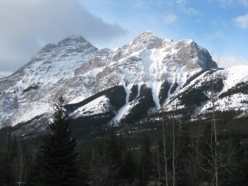 Plenty of snow up there