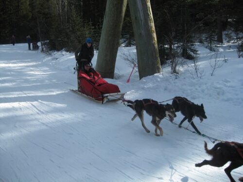 Looks like less work than skiing