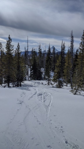 Trails at Ray Benson Sno Park