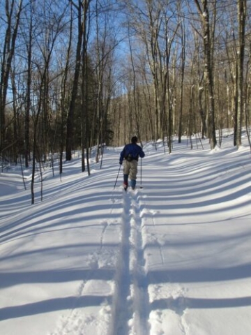 White Grass STC ski trail, WV  2014