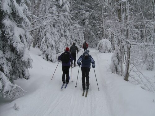 White Grass STC ski trails, WV 2015