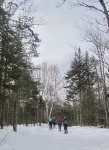 Back on the trail to Flagstaff Hut