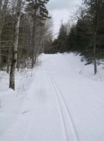 Back on the trail headed for Poplar Hut