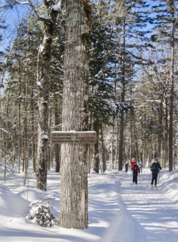 Trail to Flagstaff Hut from Poplar Hut-11.3 miles