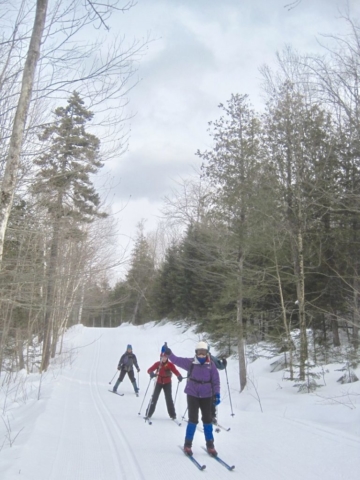 On the trail to Flagstaff Hut