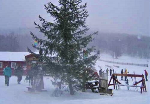 White Grass Cafe, Canaan Valley, WV