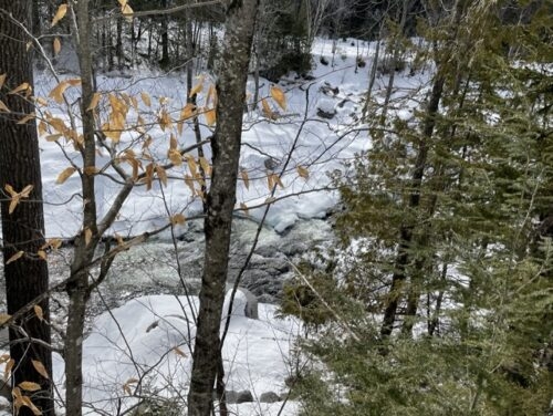 Poplar Brook falling from Poplar Hut