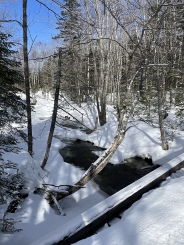A stream on the trail from Flagstaff Hut to Poplar Hut