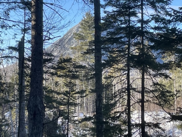 Bigelow Mountain from the trail to Stratton Brook Hut