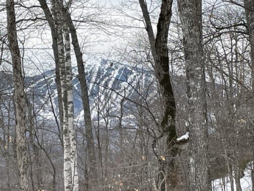 Sugarloaf downhill runs from Stratton Brook Hut