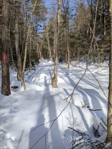 Part of t he connector trail to the Northville-Lake Placid Trail from Lapland Lakes