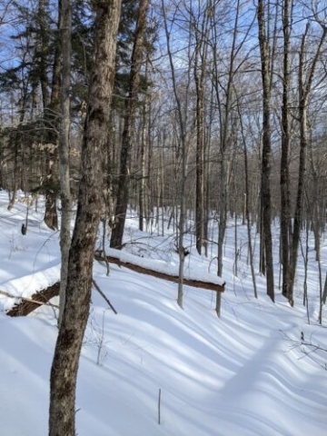 More snow at Lapland Lakes than elsewhere in February